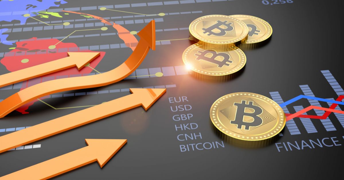 Biitland.com Crypto