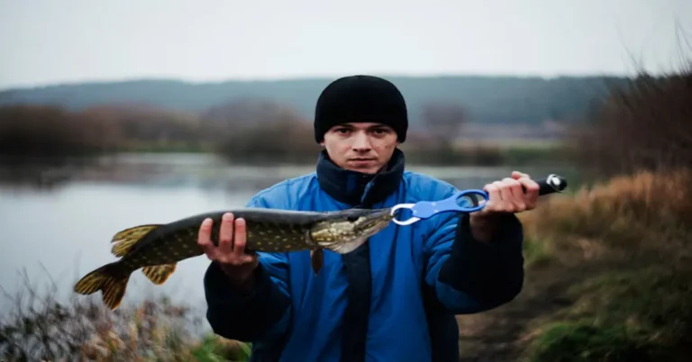 Swords fishing