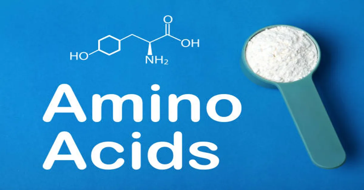 doctorhub360.com amino acids