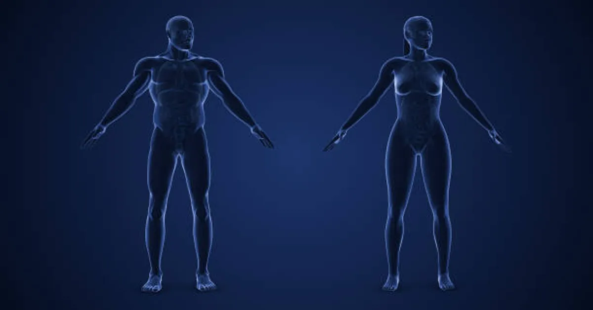 iofbodies.com