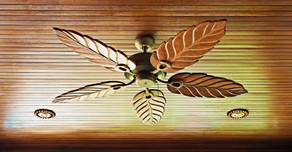 Ceiling Fan