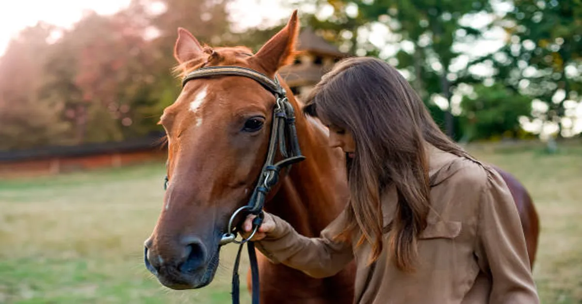 Equine Horse Names