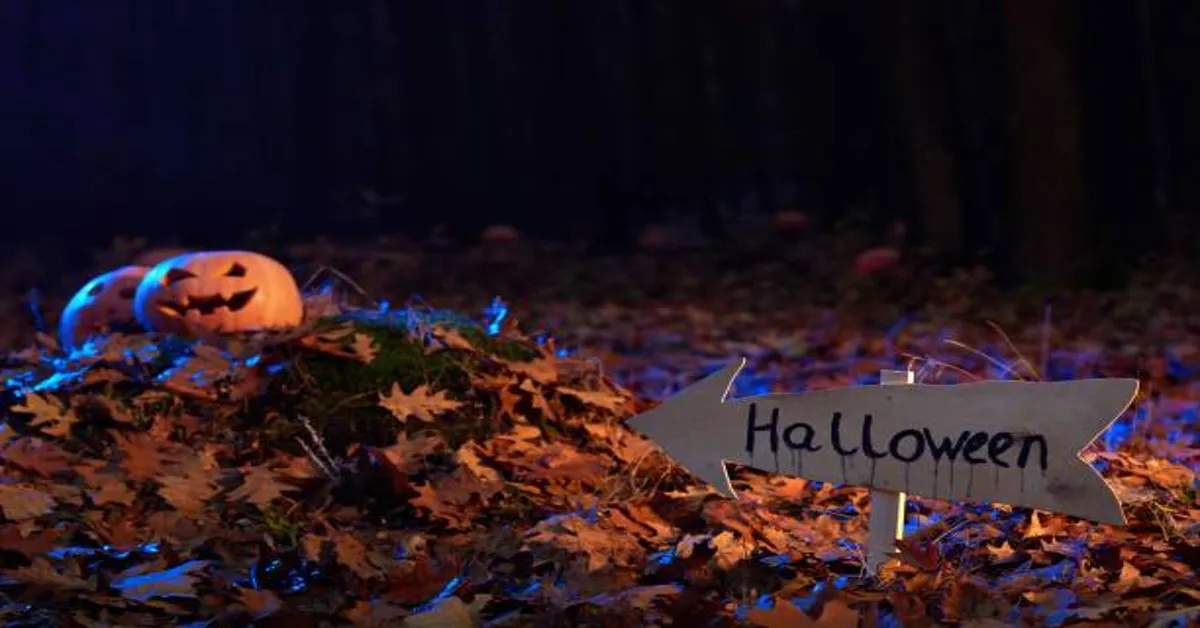 Halloweentocht 2024