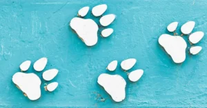 Paw Print