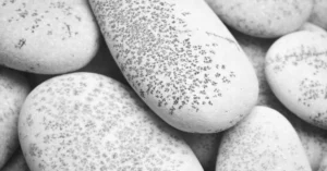 Pebble Convex
