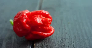 Carolina Reaper Reaper