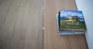 Trinou