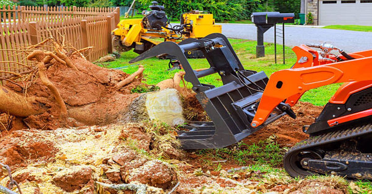 Stump Grinder Rental